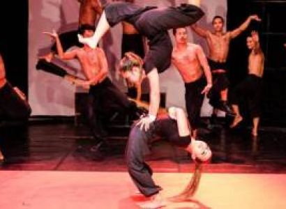 Phare, Cambodian Circus Performance Package