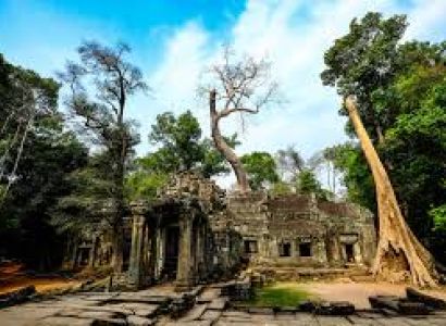 Angkor Wat 3 Full Days Tuk Tuk & English Speaking Driver