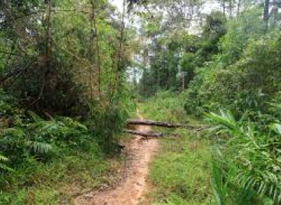 Hamburger Hill - the Dmz Package