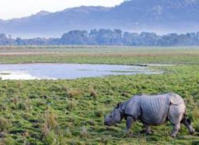 Shillong with Guwahati Tour