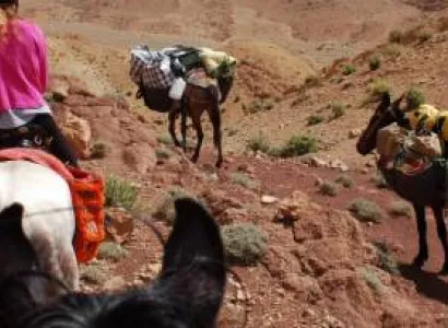 Trip Morocco : Horseback Riding in Marrakech Tour