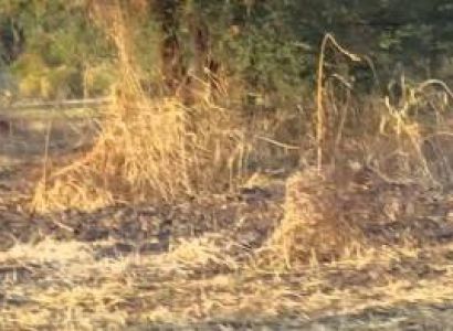 Dinder National Park Package