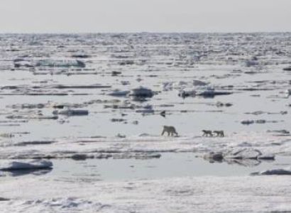 Russian Arctic Cruise with Wrangel Island Package