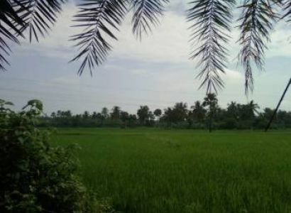 Konaseema Tour - One Day