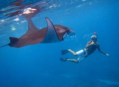 Sea Plane Trip – Swim with Manta Rays Tour