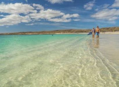 Discover Coral Coast Tour