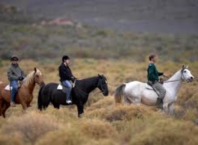 Combo Safari Full Day Tour