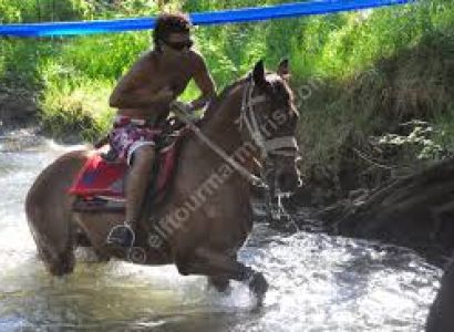 Horseback Safari Full Day Tour