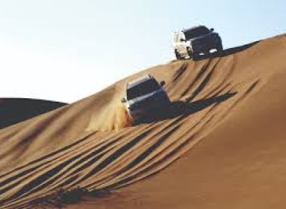 Morning Safari Full Day Tour