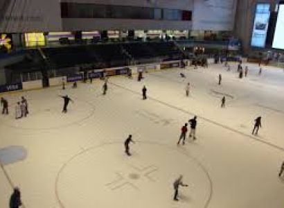 Dubai Ice Rink in the Dubai Mall Tour