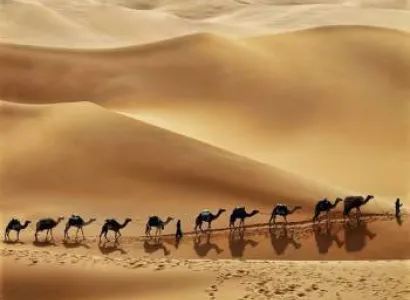 Liwa Desert Safari Tour