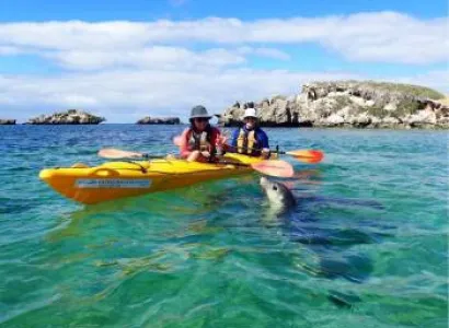 Kayaking Tour