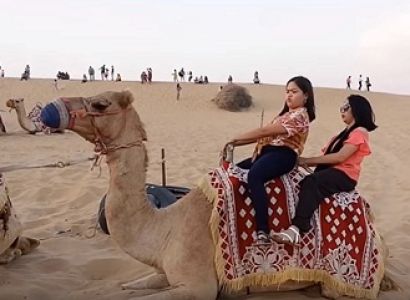 Best Camel Ride in Dubai Tour