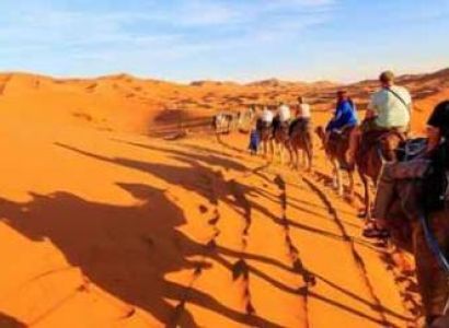 Arabian Night Desert Safari Dubai Tour