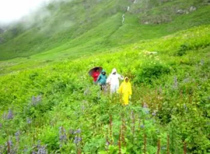 Trekking in Valley of Flowers