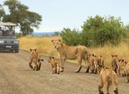 10 Days City, Safari & Beach Experience Tour