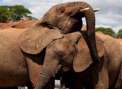 Best of Madhya Pradesh Tour