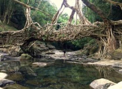 Kaziranga with Meghalaya Tour Package