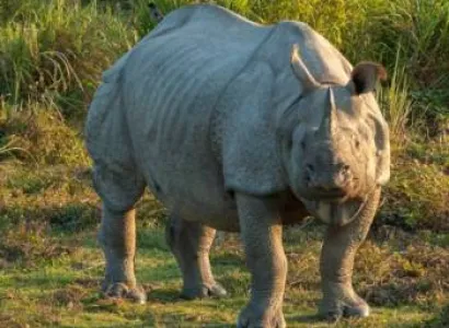 Assam and Arunachal Pradesh Tour Package