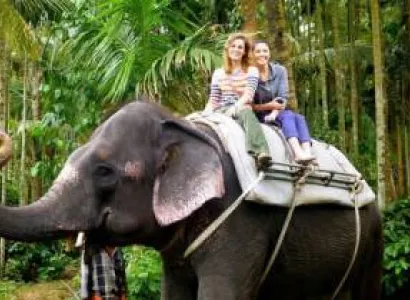 Munnar - Thekkady - Alleppey Tour