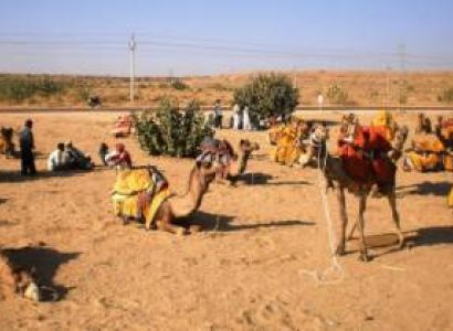 Arabian Night with Dune Bashing Tour