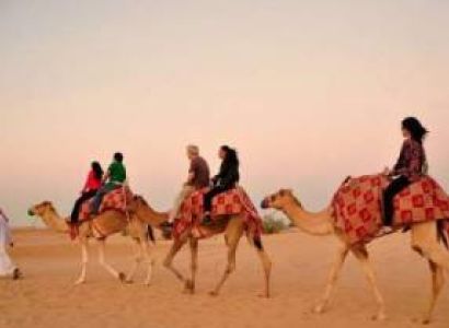 Indian & Dubai Style Safari Tour