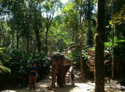 3 Days 2 Nights Thekkady Package