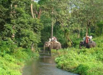 Green dooars Jungle trip Tour