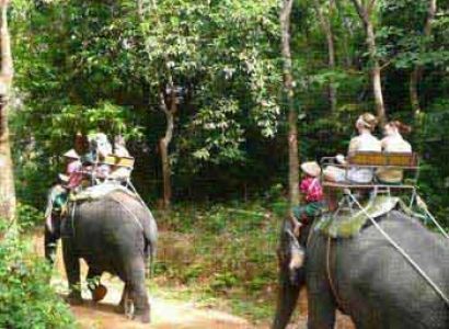 One Night Dhikala Tour Package