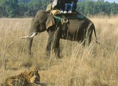 Corbett Family Tour Package