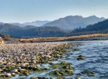 Delhi Corbett Weekend Tour Package