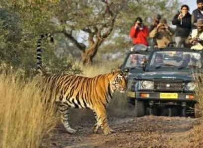 Corbett Tiger Tour Package