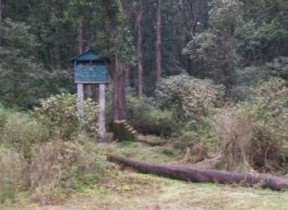 Dhikala 2n/3d Tour Package