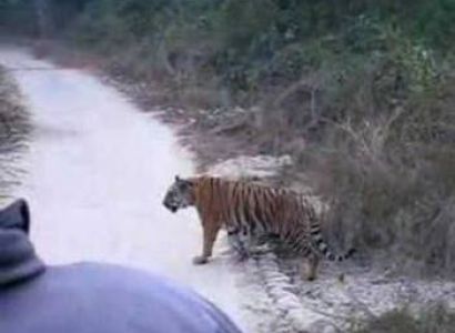 Corbett Weekend Tour Package