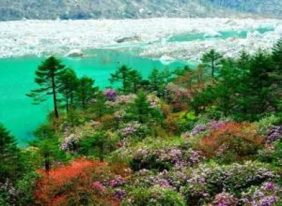 Darjeeling Kalimpong Gangtok Tour Package
