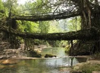 Living Root Bridges Tour