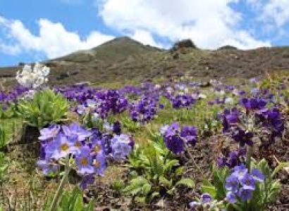 Enchanting Meghalaya Tour