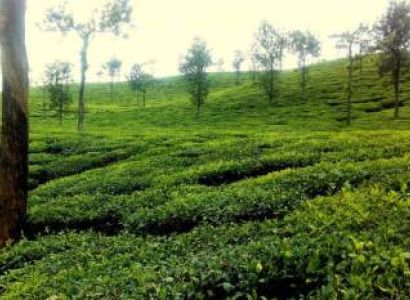 Wayanad Leisure Package