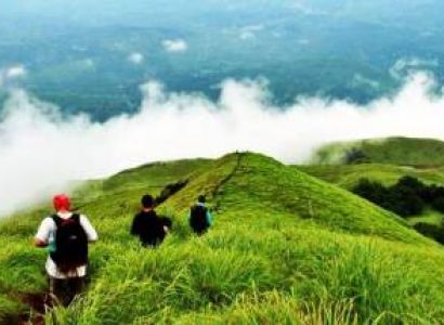 The Best of Wayanad Tour Package