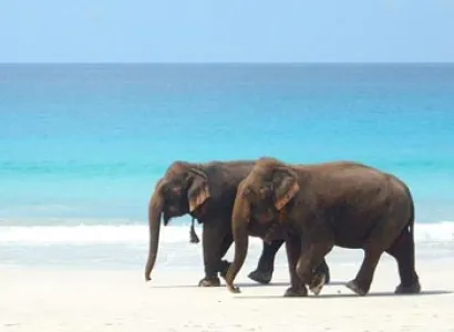 6N 7D Andaman Holiday Tour Package