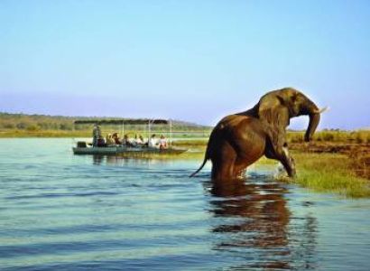 Safari and Nature Tour of Botswana