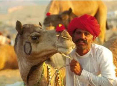 Padhaaro Mhaare Des Tour