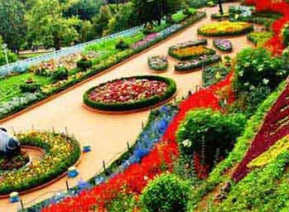 Bangalore-mysore-ooty 5days Tour