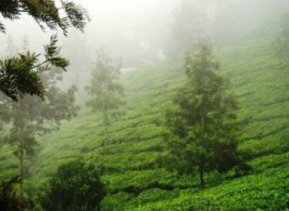 Stunning Backwater Tour