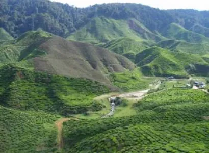 Sleepy Hills & Temple Lamps Tour