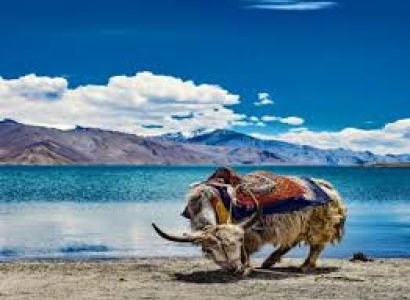 Ladakh 5n/6 Days Tour