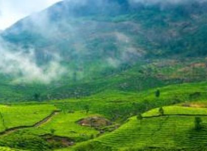 Munnar Delights - Honeymoon Special Tour