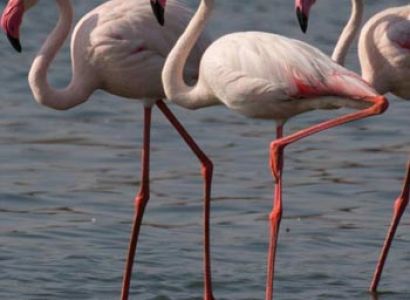 Hyderabad Leisure Tour