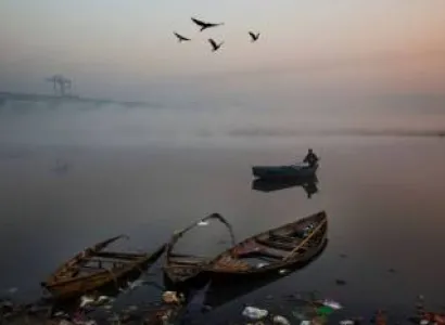 Birdwatching and Boat Tour On Yamuna River