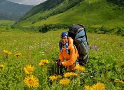 The Valley of Flowers Trek Tour